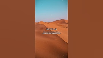 ماتيسر من سورة #العنكبوت #تلاوة #خاشعة #kuran #قران_كريم #kuranıkerim #dinivideolar #story