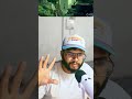 A 2D Adventure Where Nature Meets Tech
