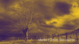 shelter from the storm