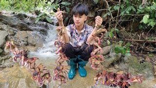 The boy wandered around, picking up stone crabs in the forest to sell - Ly Dinh Quang