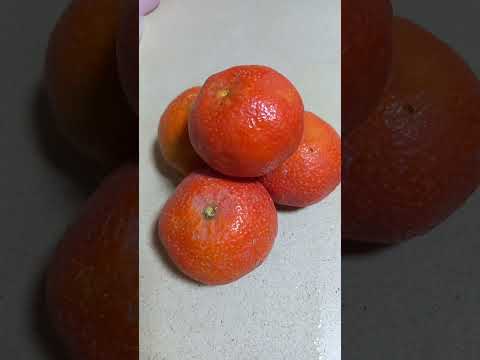 اصل الكلمنتينا