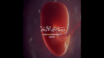ارح سمعك:حالات واتس اب قرآن#تلاوة من سورة لقمان القارئ اسلام صبحي\\إن الله عنده علم الساعة\\
