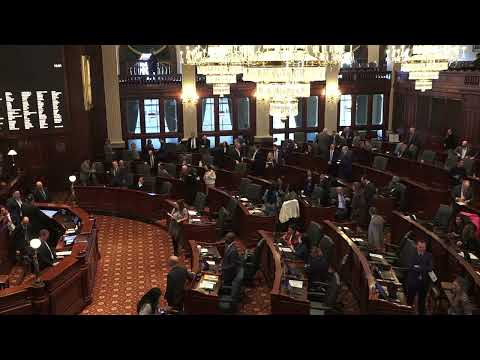 Rep. Adam Niemerg Welcomes History Students from St. Michael the Archangel School in Sigel, IL