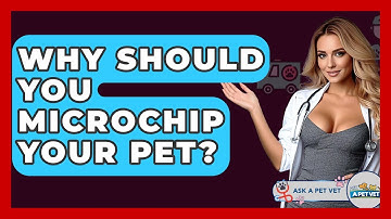Why Should You Microchip Your Pet? - Ask A Pet Vet