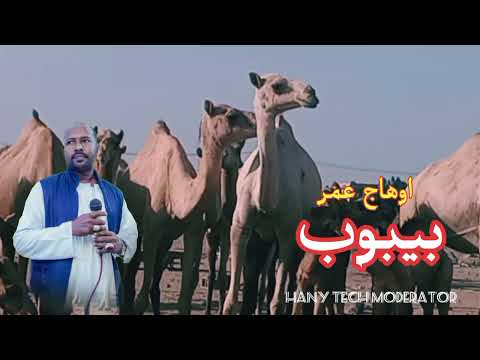 اوهاج عمر بيبوب Ohag Omer