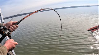 Monster Fish NEARLY BREAKS FISHING ROD!! (Winter Fishing)