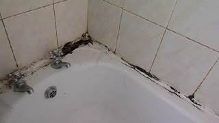 How to clean the grout between your wall tiles and revamp mouldy mastic.