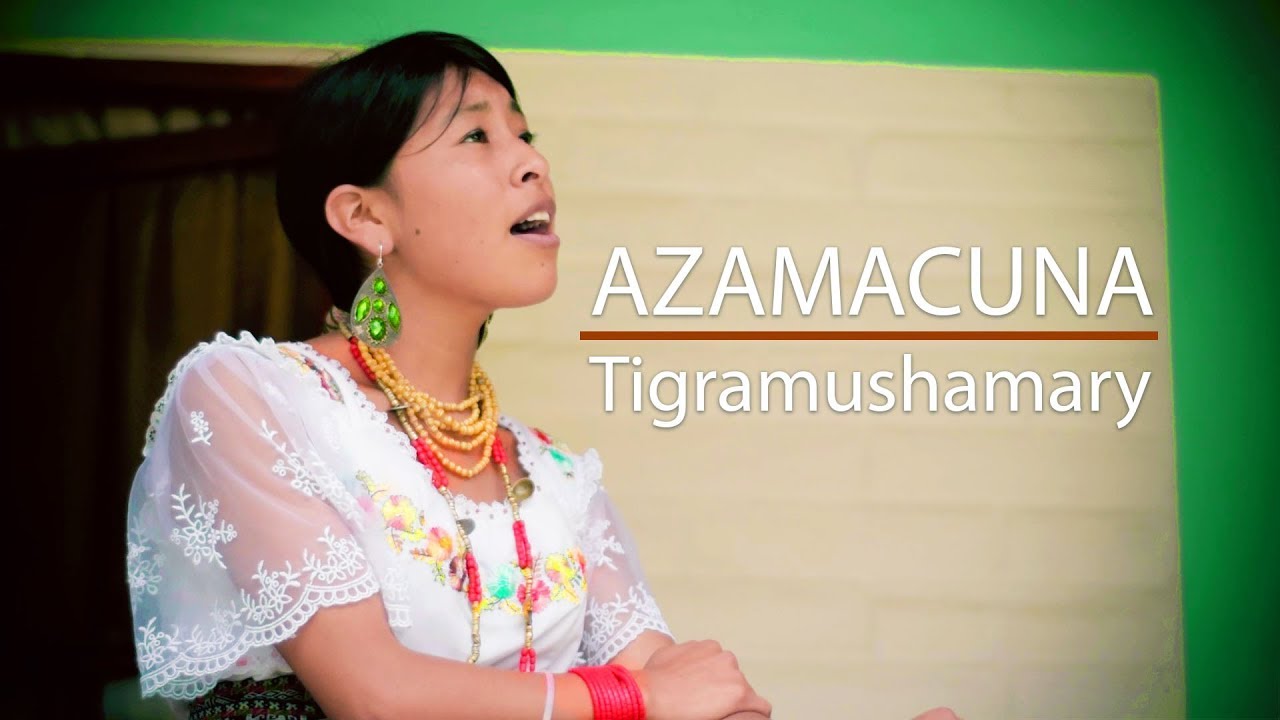 Azamakuna - Tigramushamari (Video Oficial) - YouTube
