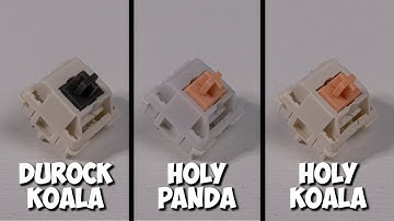 🔥 BEST tactile switches