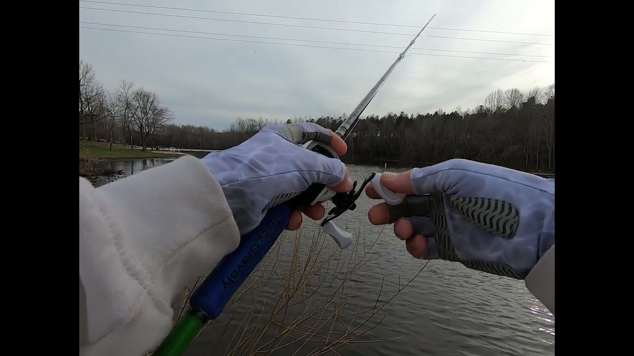 Lake Chesdin Prespawn Bass Fishing 2-18-24 #whippernock