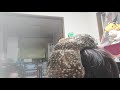 頭で寛ぐフクロウ
