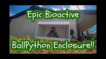 Epic Bioactive Ball Python Enclosure - built by a dwarf!