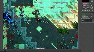 Tibia - Shivera Server - Killing lvl 344 ED Red Skull