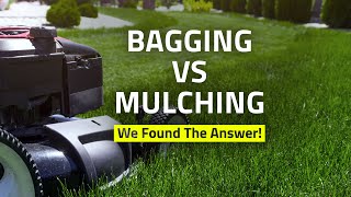 Mulching Vs. Bagging? What Should I do?