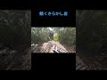 継石坊主（鯖くさらかし岩）探訪