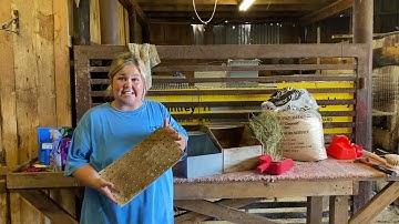 How to make a nest box for show rabbits/ meat rabbits