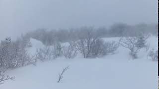 2018021103eboshi01