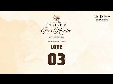 LOTE 03   FRTM 160
