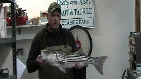 11-16-11 Anthony Senatore 11 Pound Bass.MOD