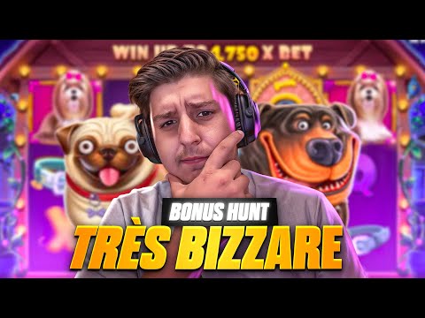 Connectez-vous à Malina Casino et Jouez aux Meilleurs Jeux de Casino en Ligne en France