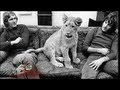 16x9 - Wonderful story of Christian the Lion