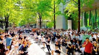 4K60 [Tug of War Tournament] Marunouchi Nakadori Final League 2024 Tokyo Japan