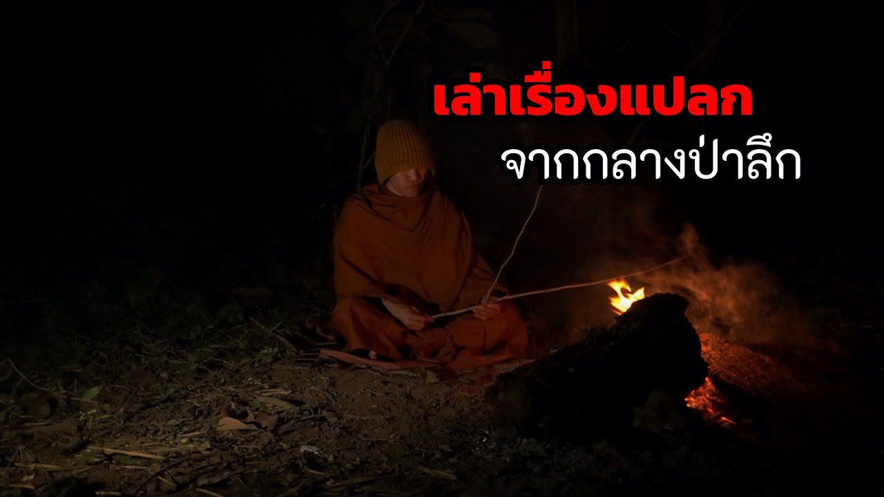 เล่าเรื่องจากป่า เรื่องราวแปลกๆของสัตว์ในป่า อย่านอนตามทางด่าน เสียงป่าสะอื้น