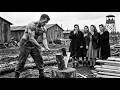 “We’ve Never Seen Men Like This!”— German Women POWs Couldn’t Stop Staring At British Lumberjacks