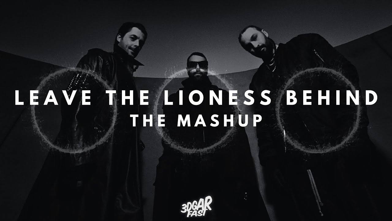 Lioness Vs Leave The World Behind MEGAMASHUP Feat Various Swedish lioness-vs-leave-the-world-behind-megamashup-feat-various-swedish