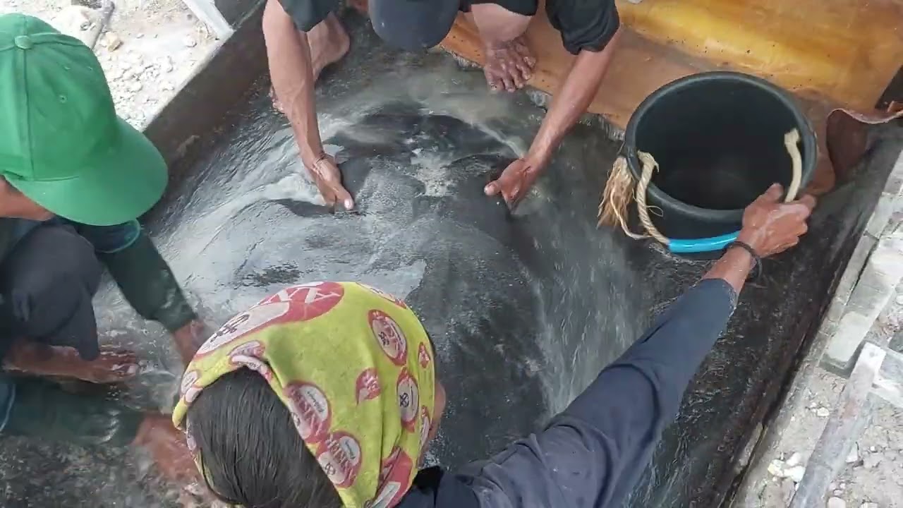 Tambang timah Bangka Belitung, proses cuci timah.