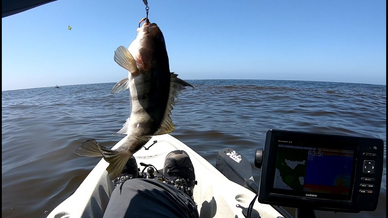 Kayak fishing Southern California Marina del Rey Artificial Reef