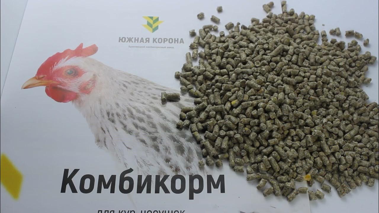 Комбикорм ЮЖНАЯ КОРОНА, для КУР-НЕСУШЕК ПК-1 / протеин 15.5 - YouTube