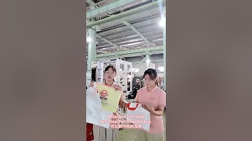 800ZD Automatic four function LDPE plastic shopping bag making machine