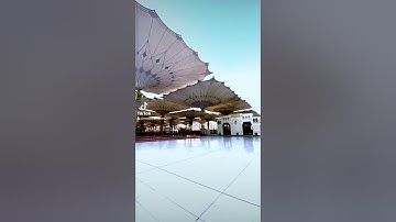 ماتيسر من سورة ص بصوت القارئ مصطفى حامد آل السلايمه
