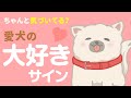 【必見】犬が心から大好きな人に見せる16個の愛情表現