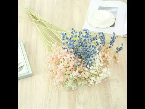 Hãy Quên Đi. 忘情號 _ Đỗ Đức Vỹ. 杜德偉 (Alex To)