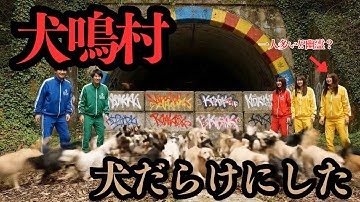 【AI動画】最強心霊スポットの犬鳴村で大量の犬を放してみた！