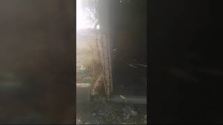 Title Soyer Raisonable