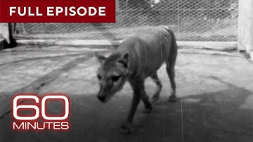 Animals that Faced Extinction | 60 Minutes Full Episodes