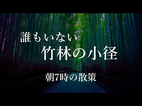 【Trip to Kyoto】京都 嵐山 竹林の小径｜Arashiyama Bamboo forest ｜kyoto