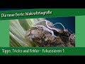 Makrofotografie: 14. Tipps, Tricks und Fehler - Fokussieren