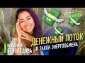 Денежный поток и закон энергообмена. Кристина Белодедова