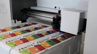 Printing  on Styrofoam with Matrix CubeJet
