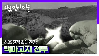 6.25전쟁 최대 전장, 백마고지 전투 | 비무장지대 1부 [다큐 인사이트]