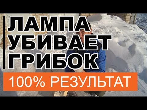 Как УБИТЬ Грибок 👿 в Бане # Применяем 💣 КВАРЦЕВАНИЕ