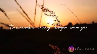 story WA ambyar bikin baper!! dalane gusti-cover Woro Widowati