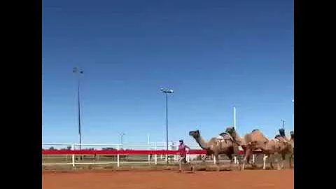Camel Trainer Glenda Sutton Running