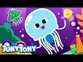 Jellyfish Song | Animal Song for Kindergarten | Learn Sea Animals | Kids Song in English | JunyTony