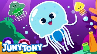 Jellyfish Song | Animal Song for Kindergarten | Learn Sea Animals | Kids Song in English | JunyTony
