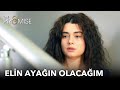 Elin ayağın ben olacağım | Yemin 256. Bölüm